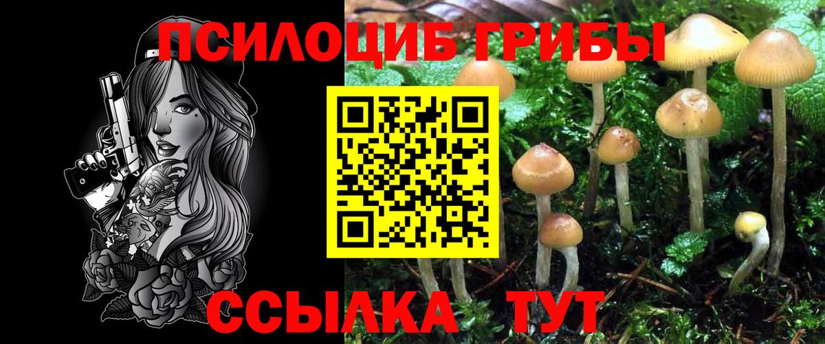 Галлюциногенные грибы мухоморы Вичуга